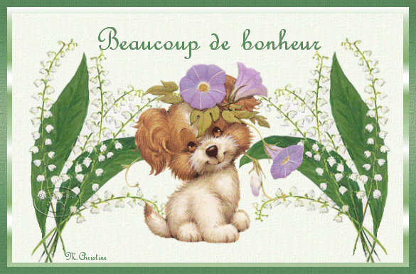 rencontre gratuites site rencontre gratuit rencontre gratuites site rencontre gratuit